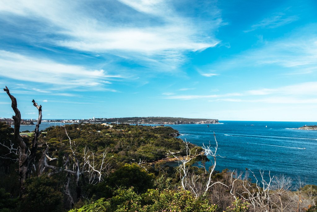 middle head walk