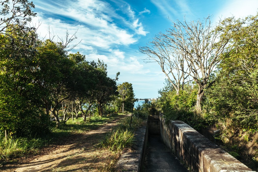 taronga zoo to balmoral beach walk