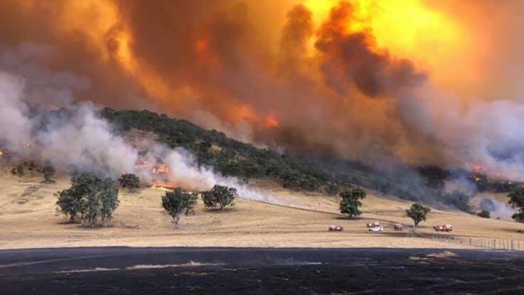 australia bushfires