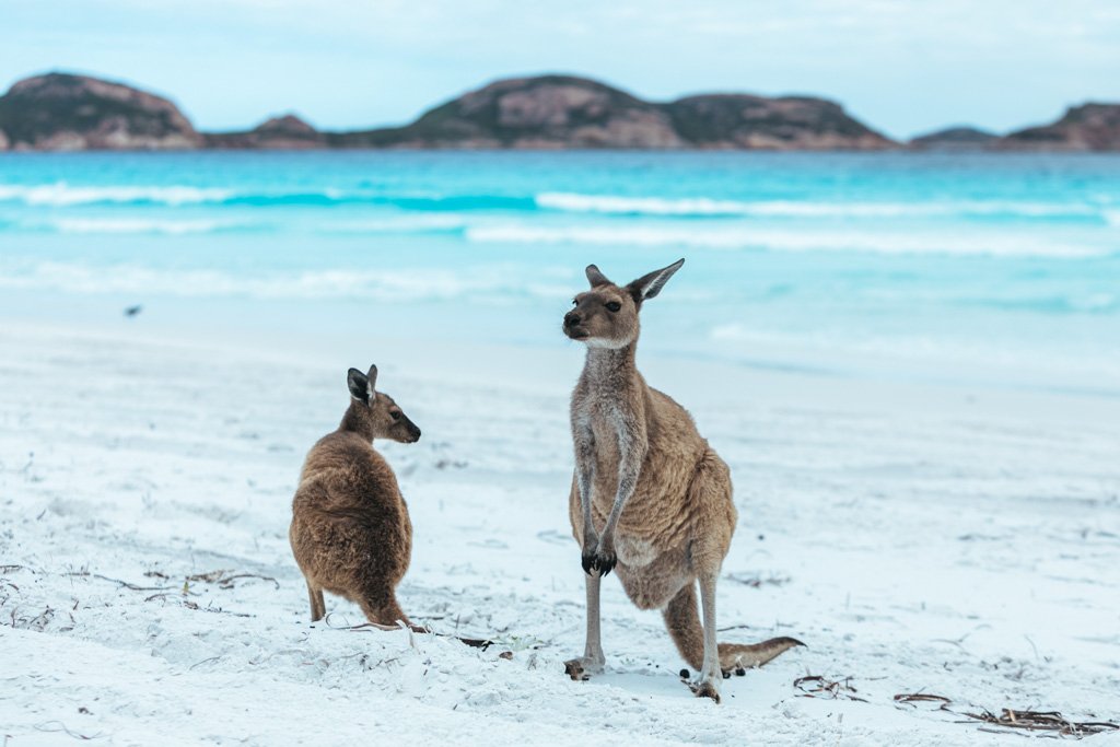 lucky bay camping