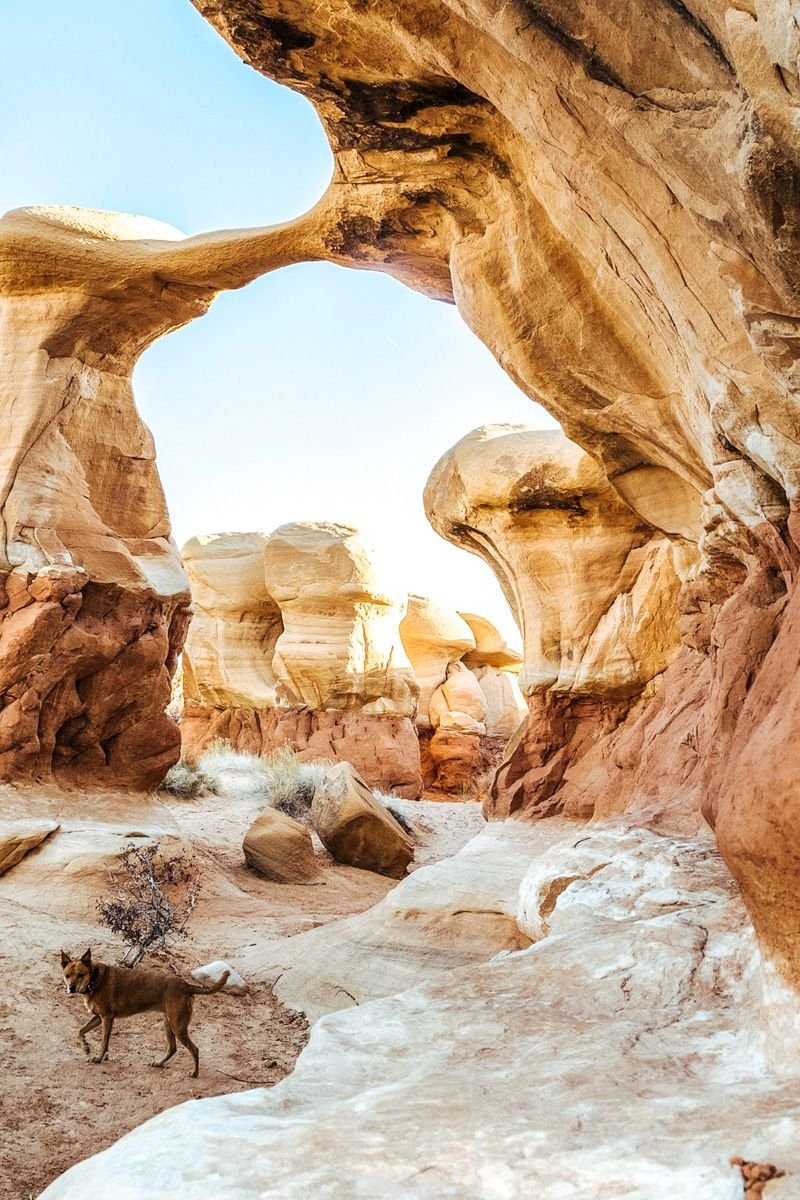 Best hikes in escalante national outlet monument