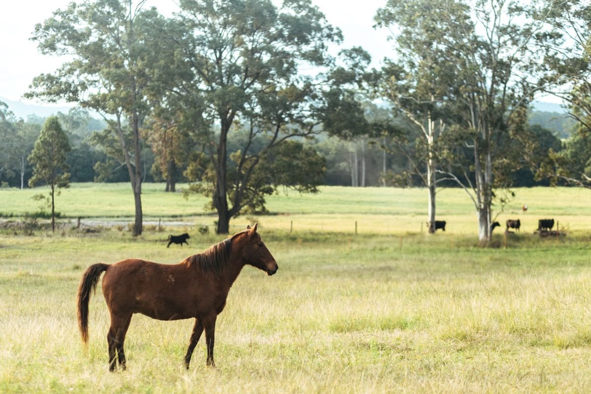 winter getaways nsw