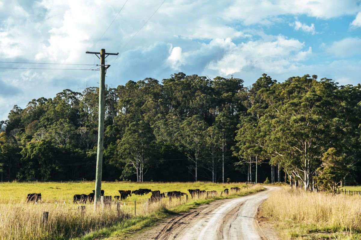 nsw tiny house