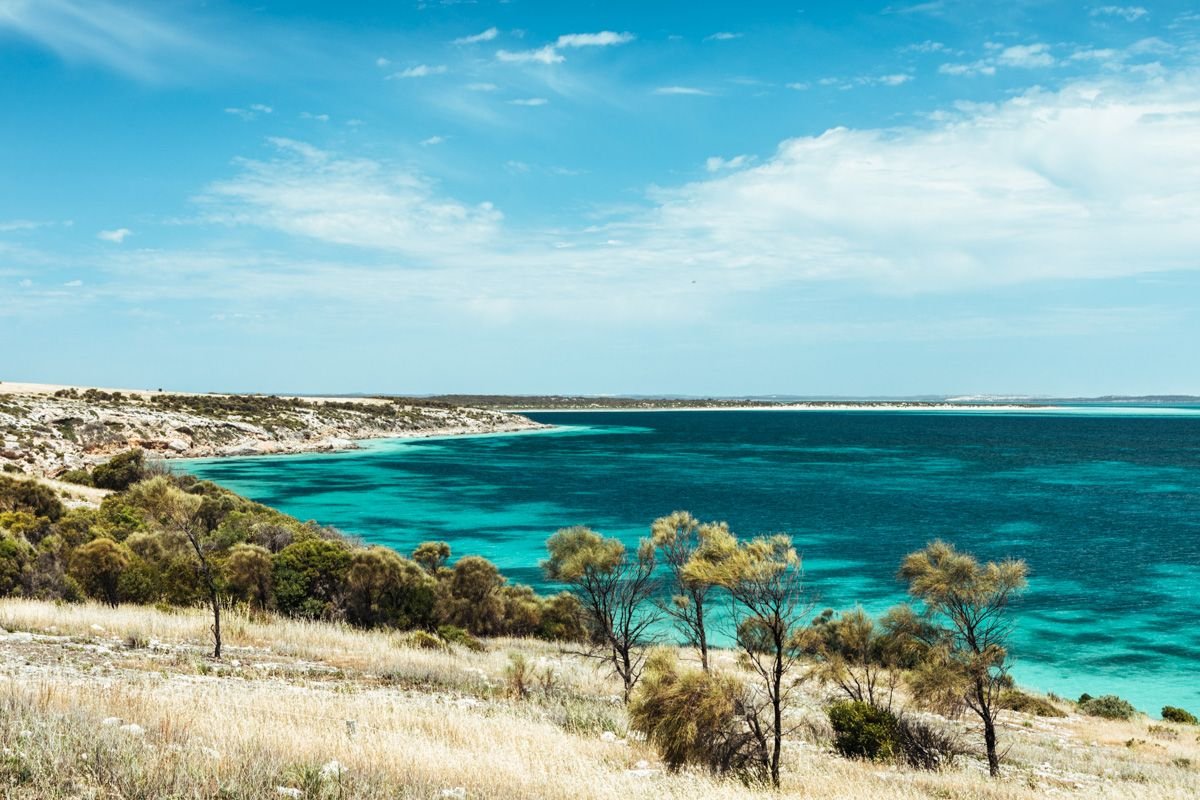 things to do eyre peninsula