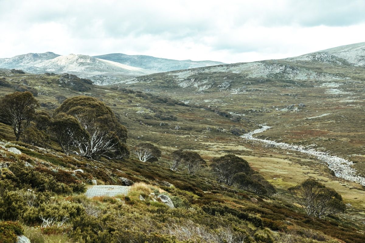 kosciuszko walks