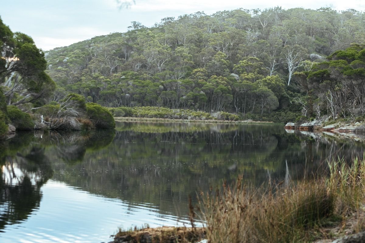 bournda lagoon