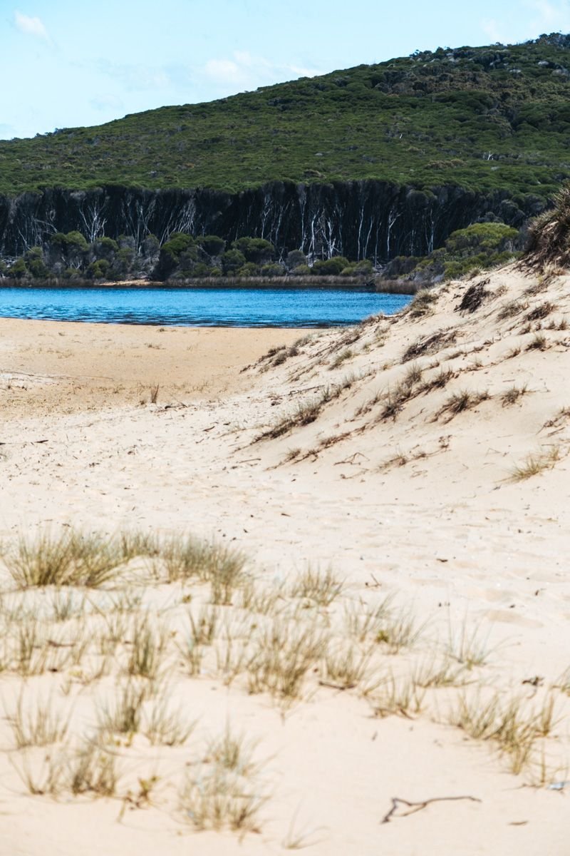 bournda national park