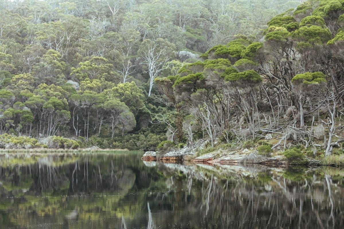 bournda national park