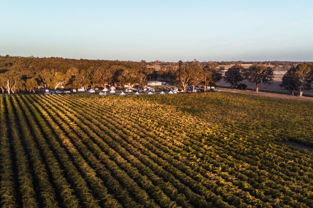 coonawarra bush camp