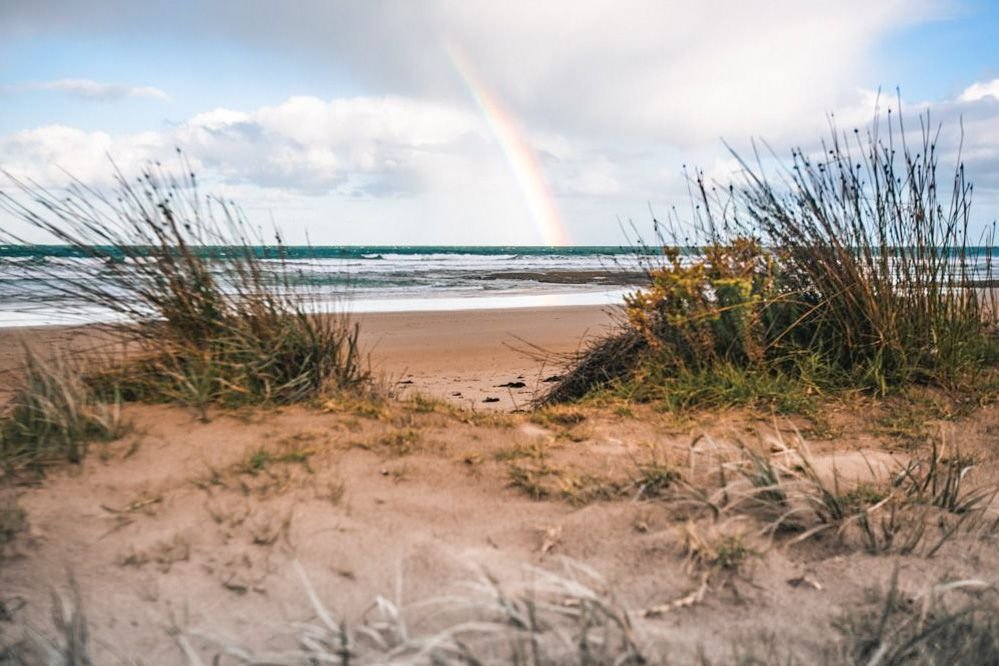 Great Ocean Road Trip