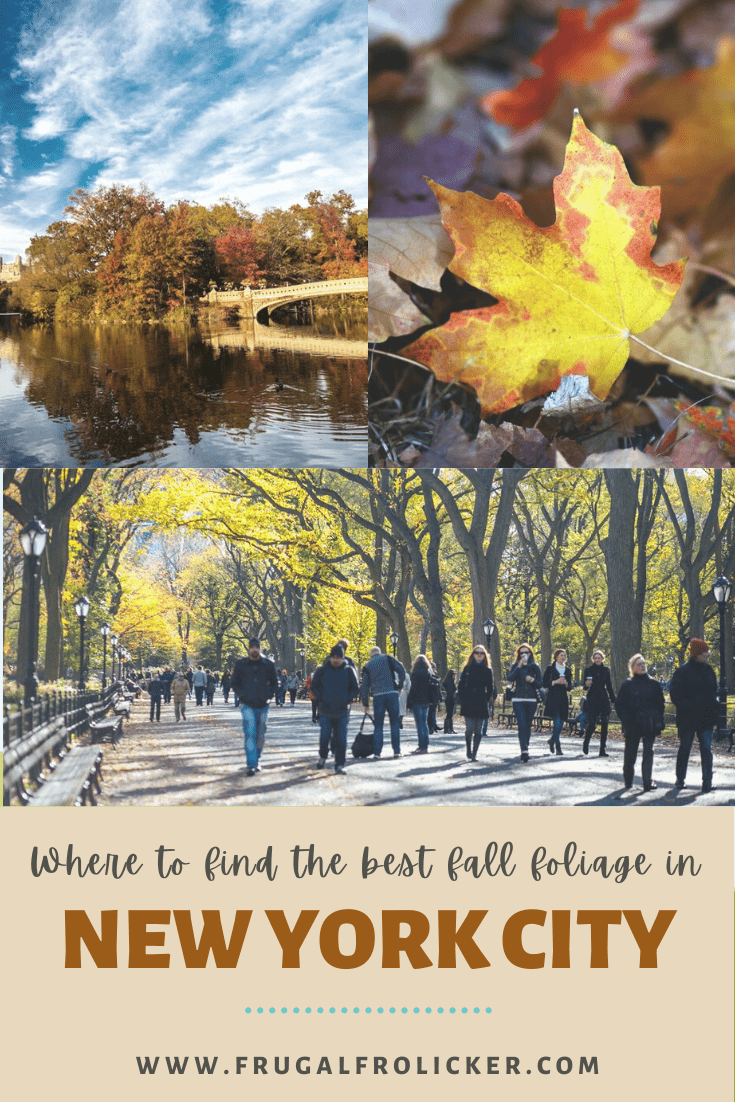 New York Fall Foliage - where to find the best fall foliage in NYC