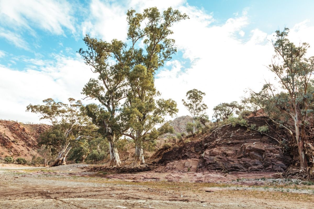 brachina gorge