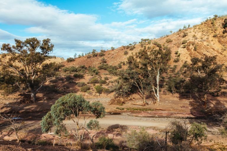 Bunyeroo Gorge & Brachina Gorge, Flinders Ranges | Frugal Frolicker