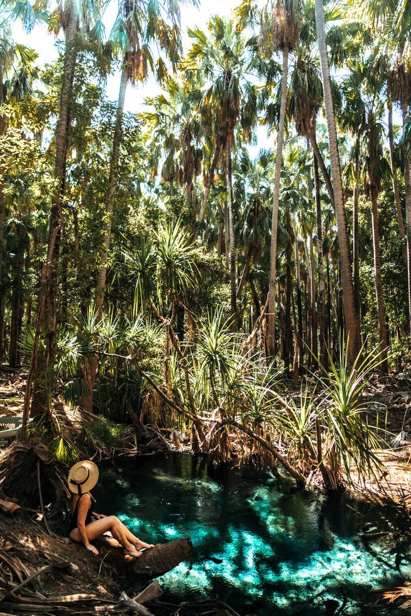 rainbow springs mataranka