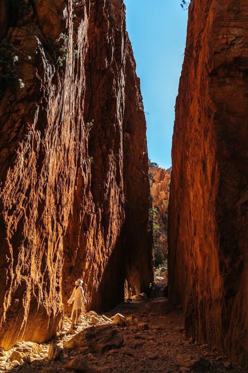 day trips from alice springs