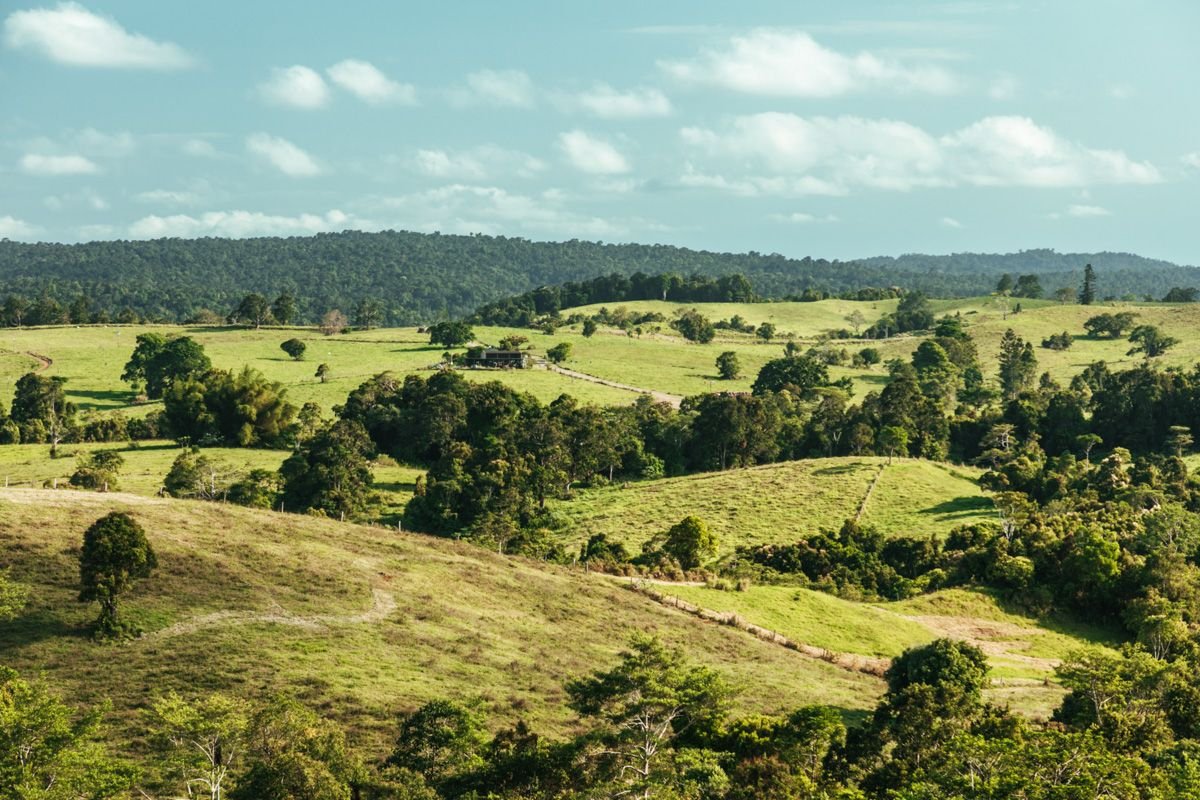 atherton tablelands picnic