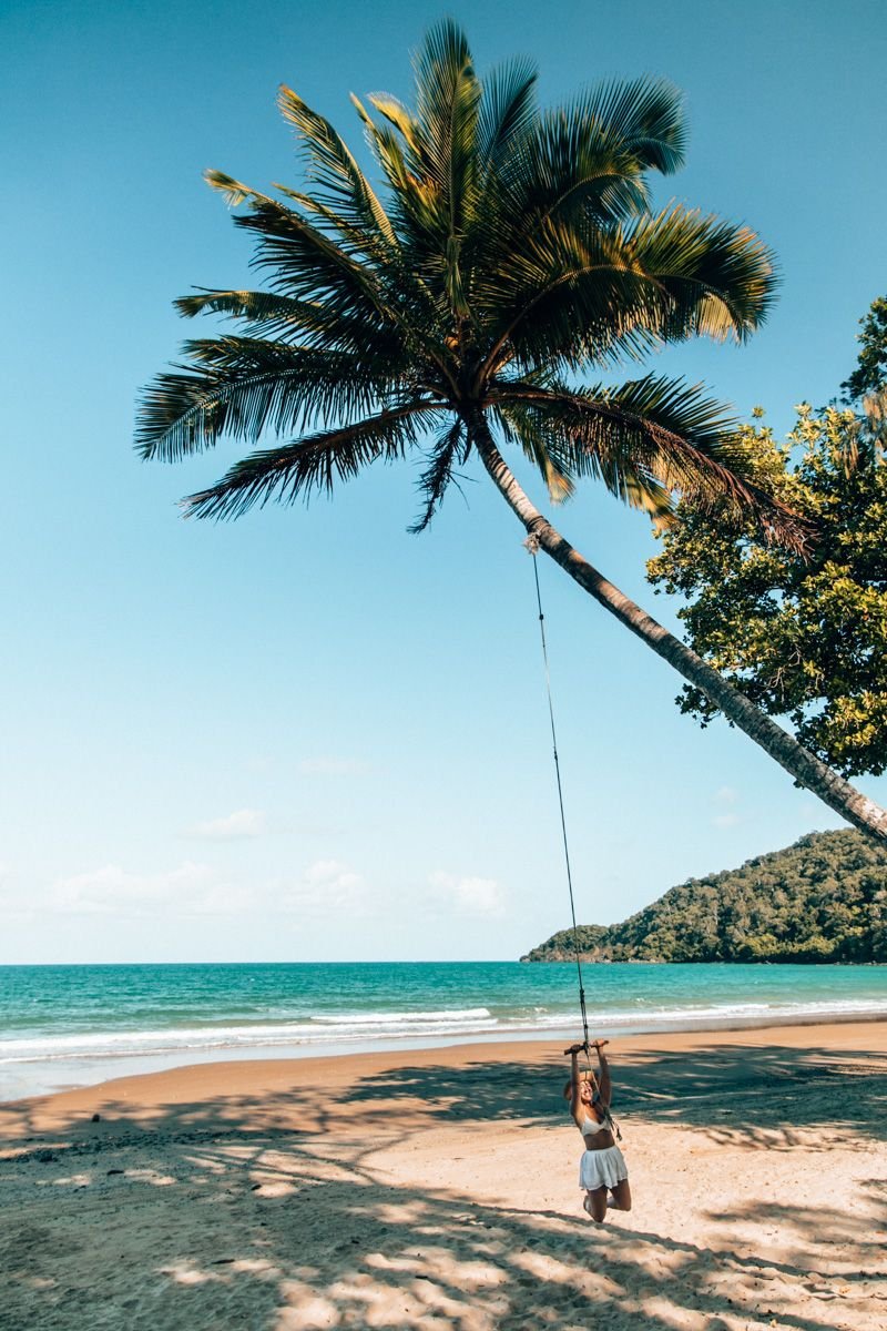 cape tribulation cow bay