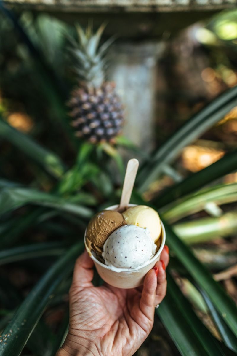 cape tribulation ice cream