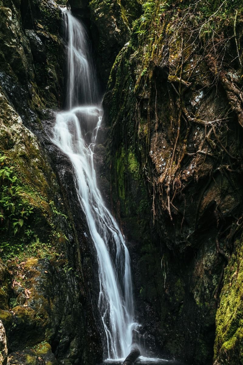 fairy falls cairns