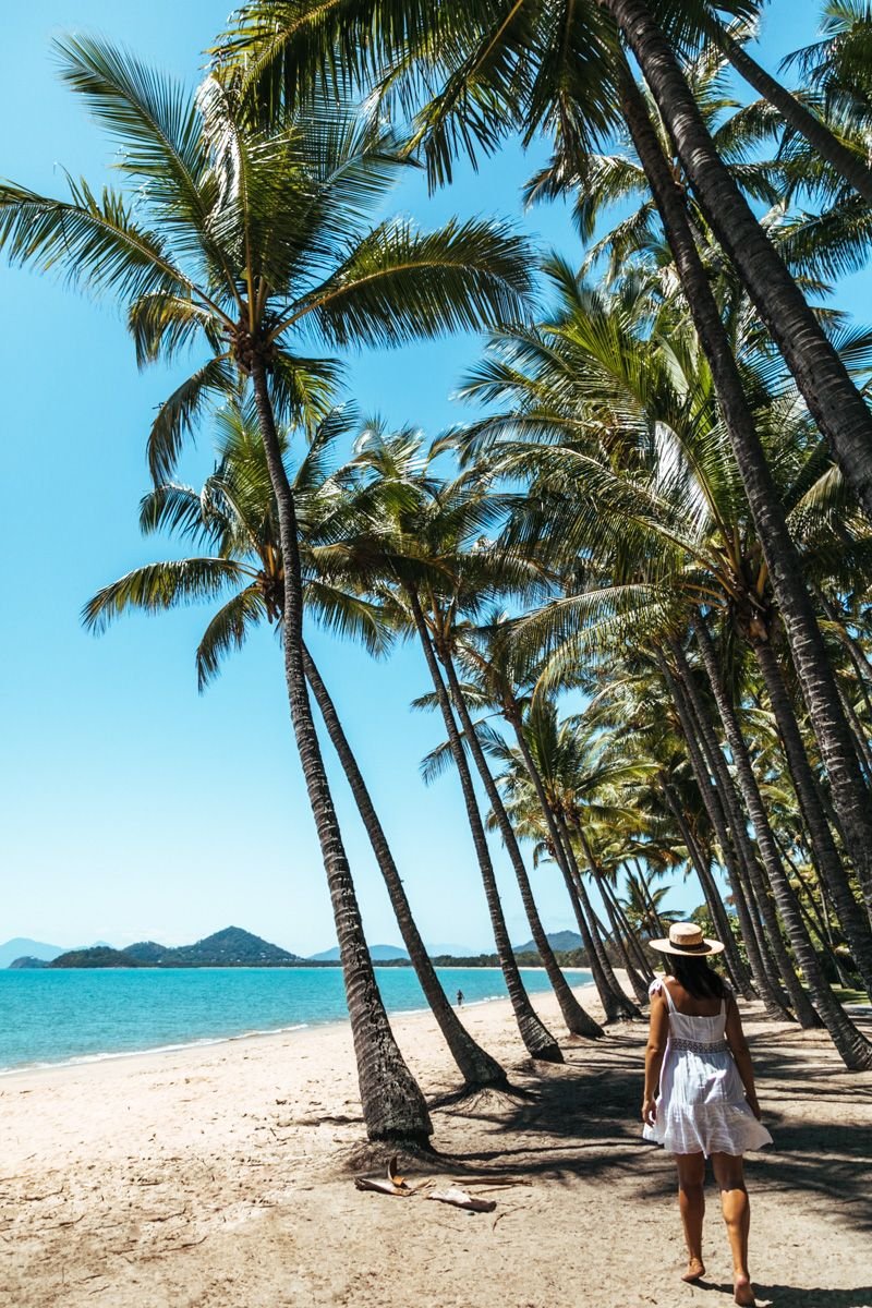 palm cove queensland