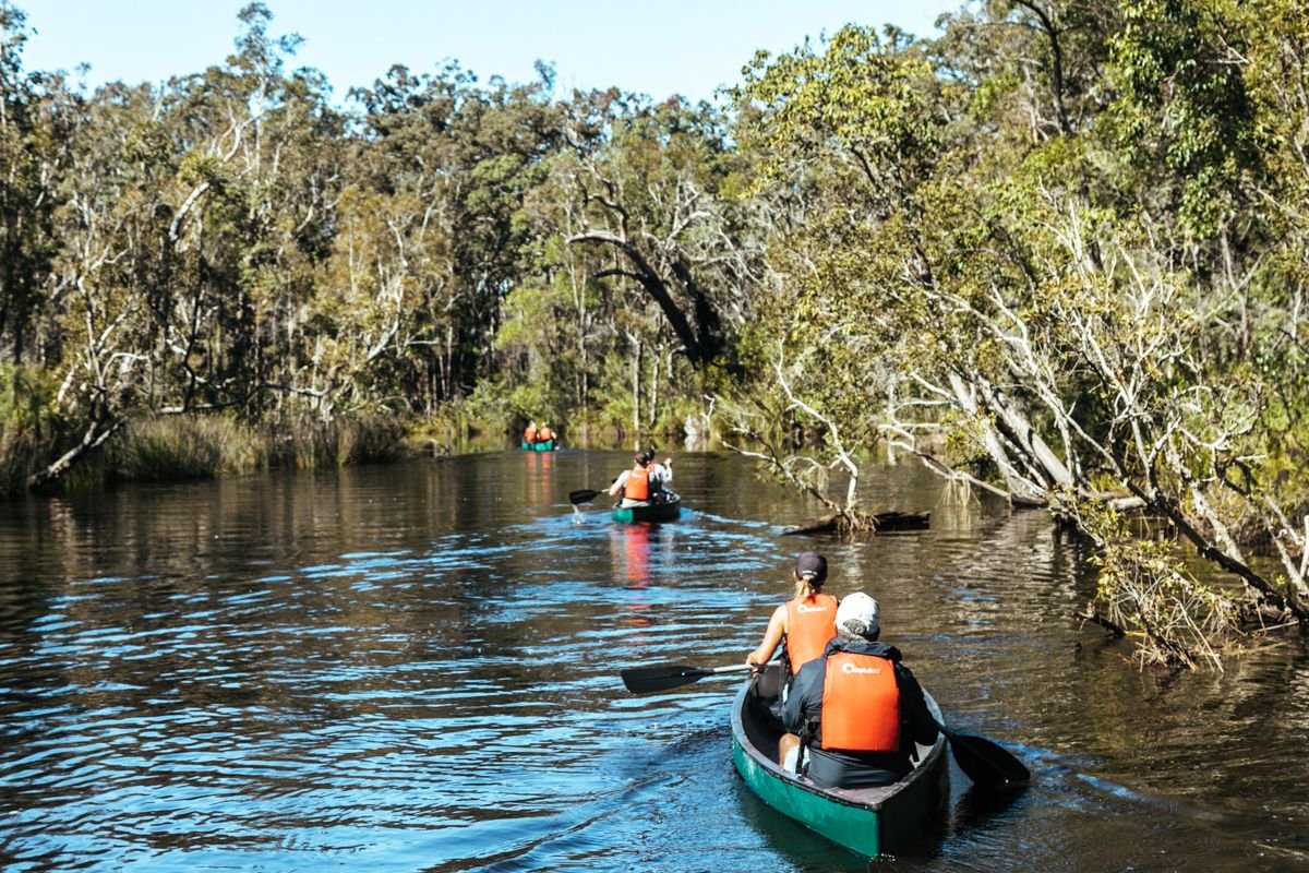 activities in noosa