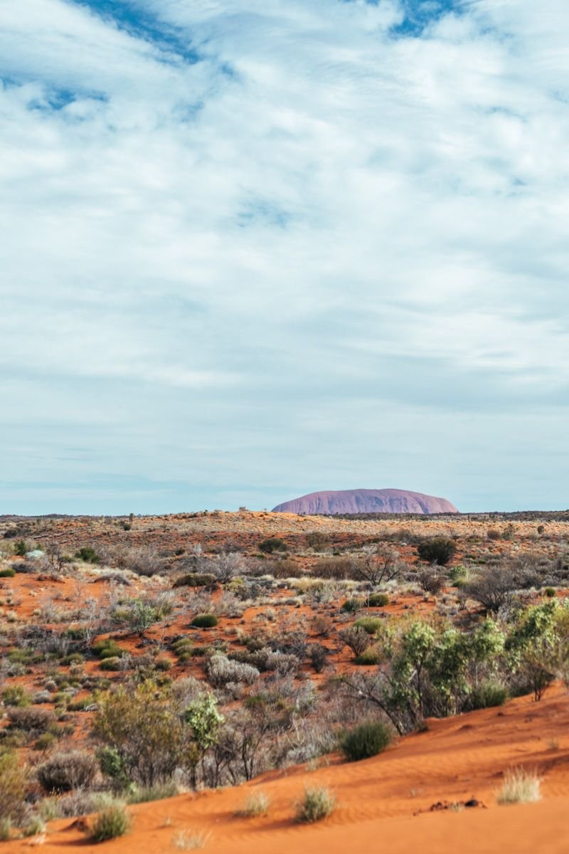 alice springs to uluru