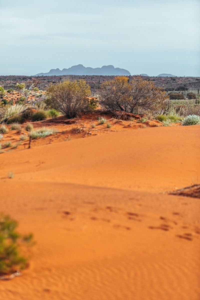 alice springs to uluru