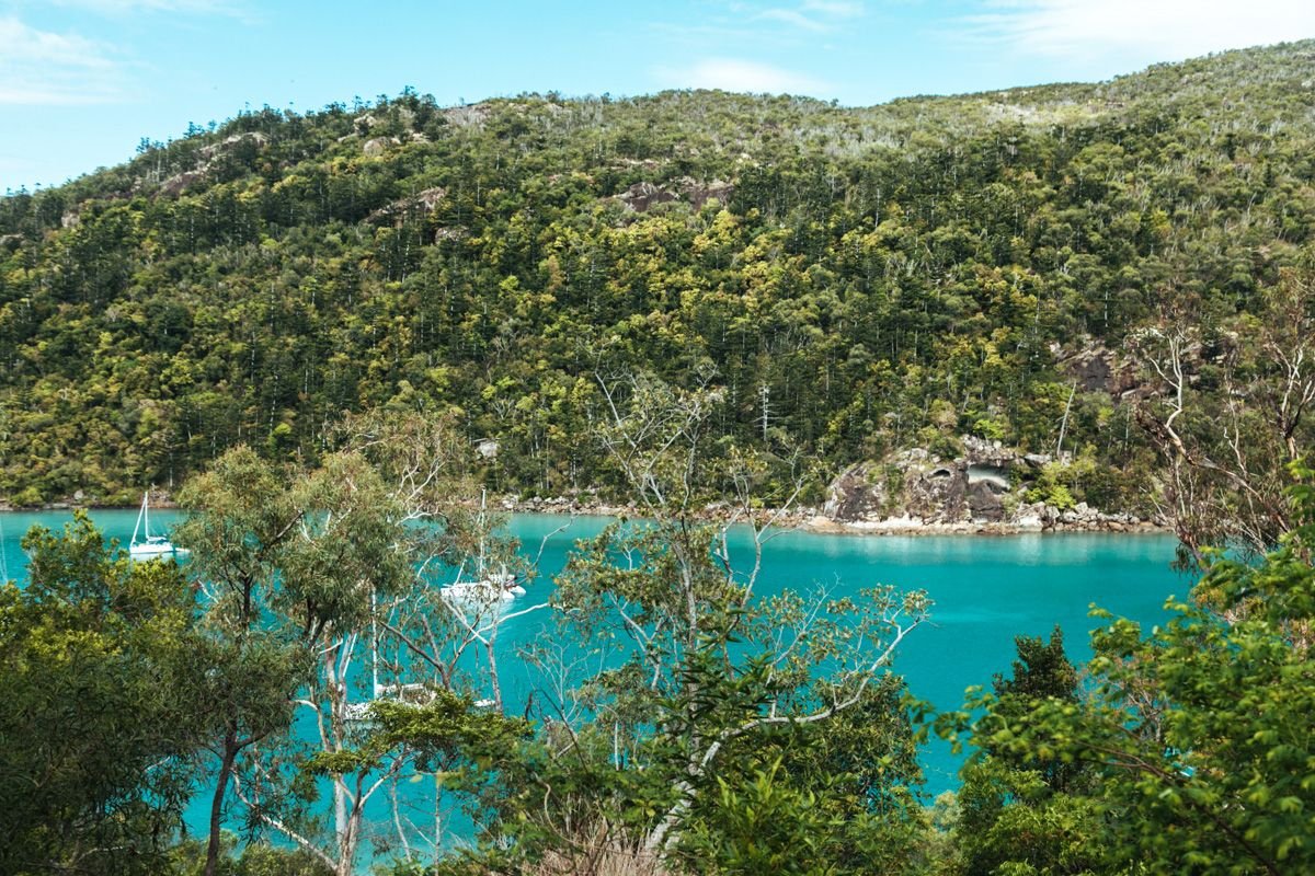 overnight sailing trip whitsundays