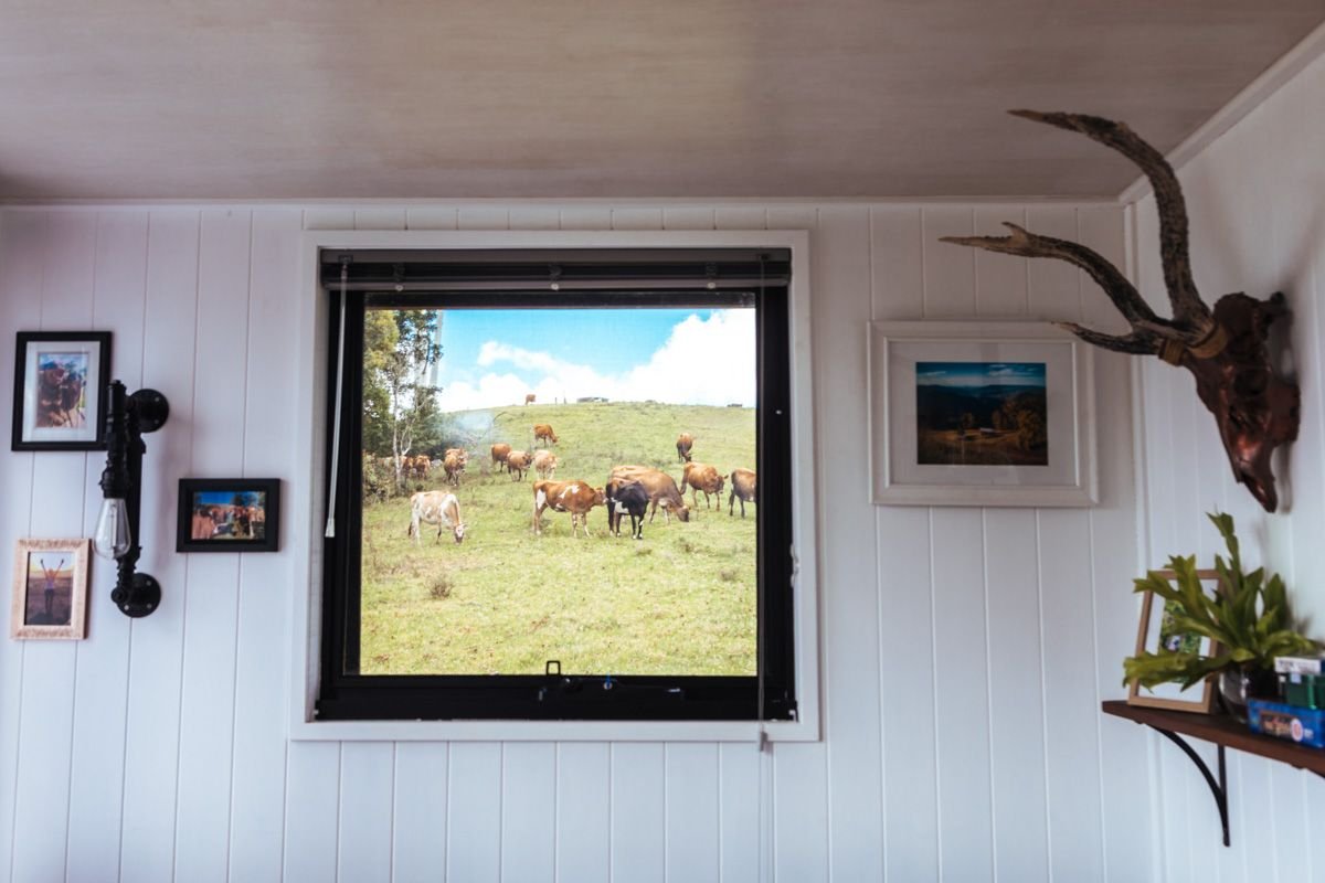 tiny house gold coast