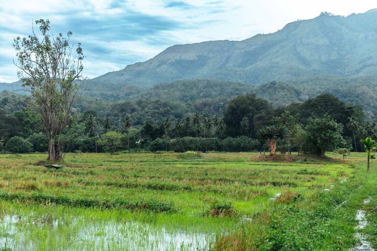 eco lodge in sri lanka