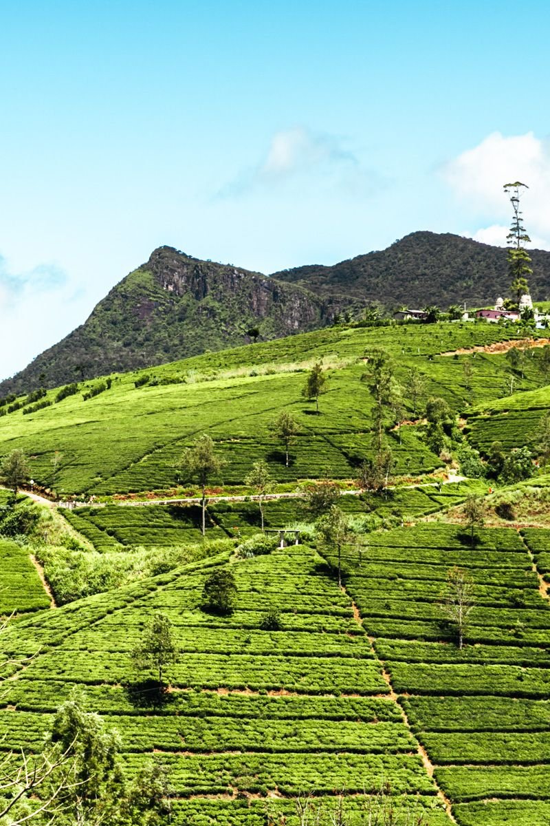 itinerary sri lanka 10 days