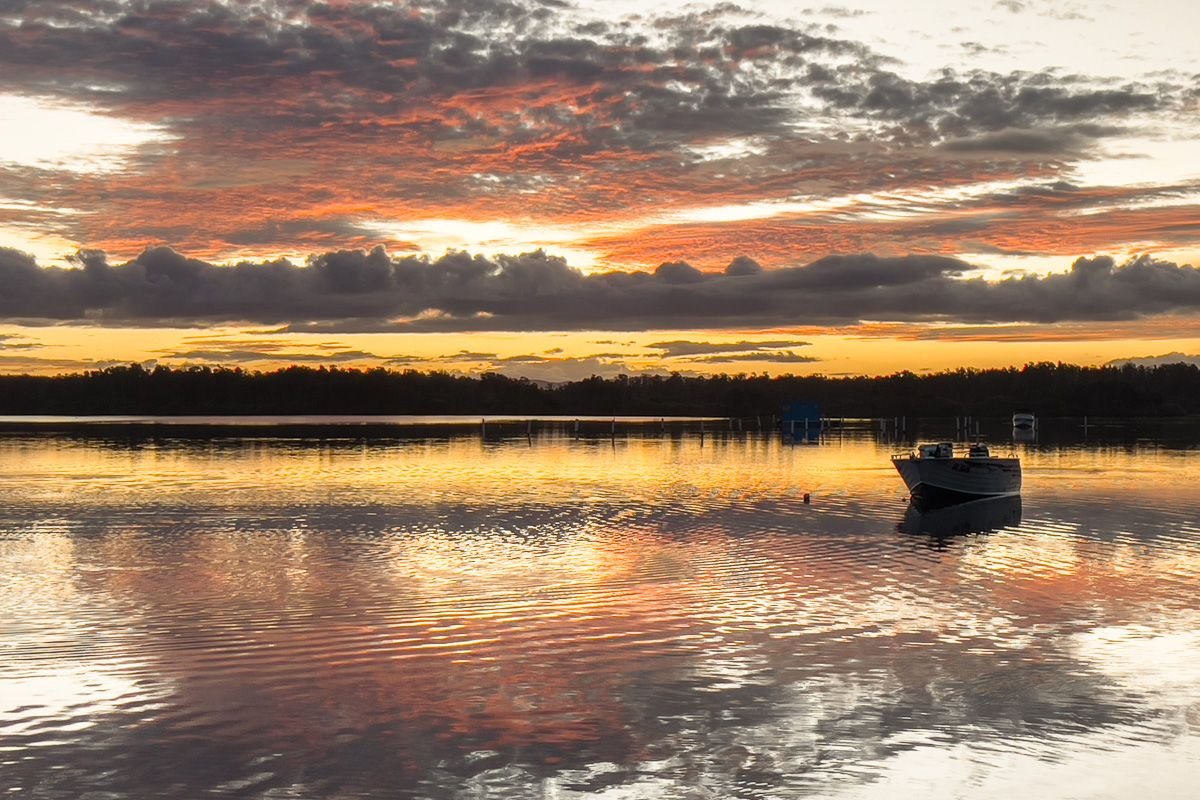 forster nsw australia