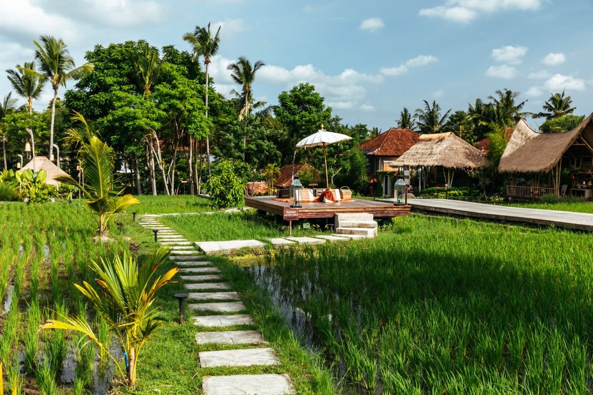 things to do bali