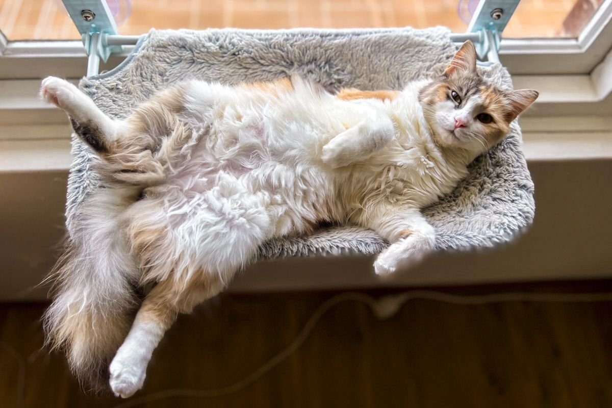 australia travel blog