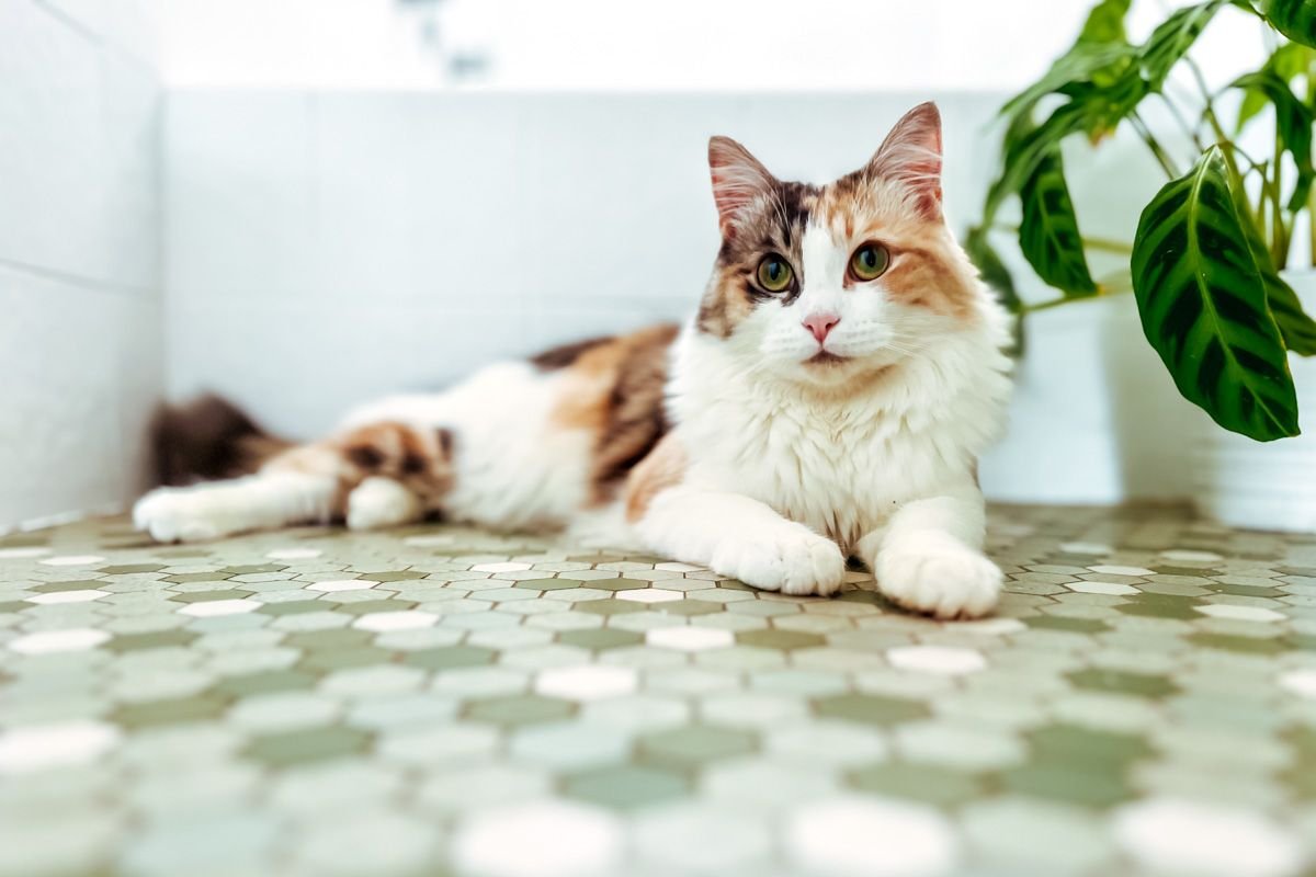 australia travel blog