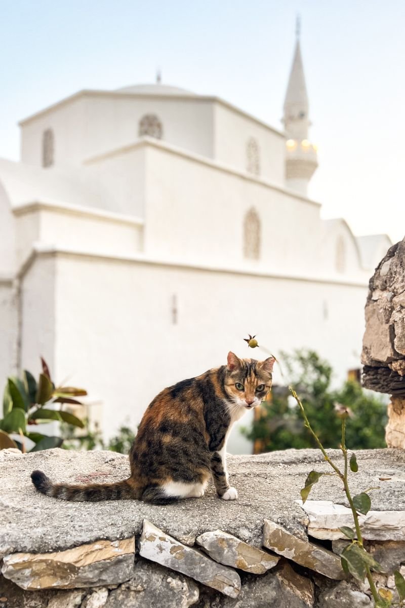 10 days itinerary for turkey